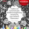 24 Versículos Bíblicos para colorear